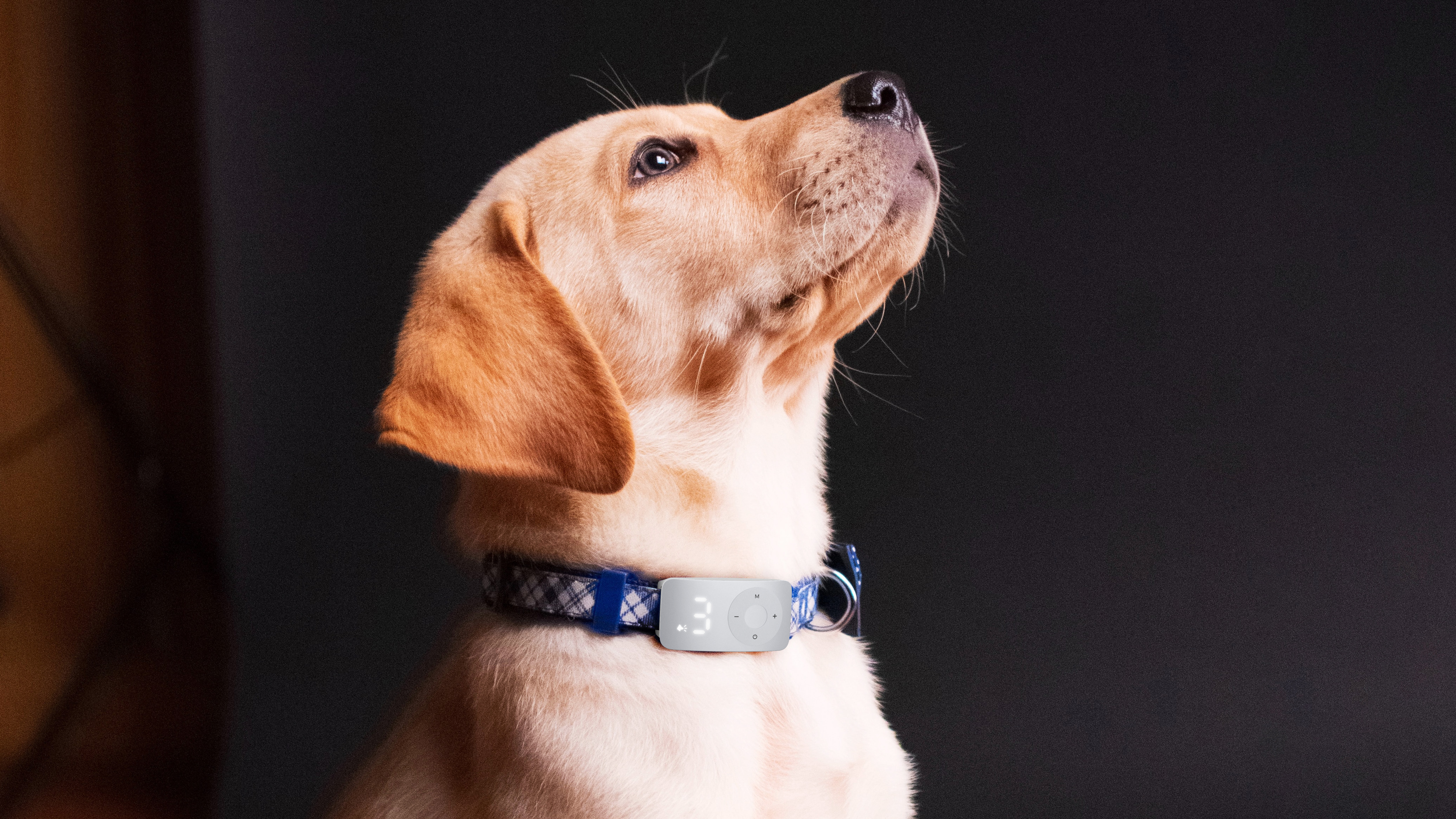 product design，product design，industrial design，industrial design，household electrical appliances，household electrical appliances，Gehu，Gehu，Environmental electrical appliances，Environmental electrical appliances，Pet Supplies & Pet，Pet Supplies & Pet，air conditioner，air conditioner，