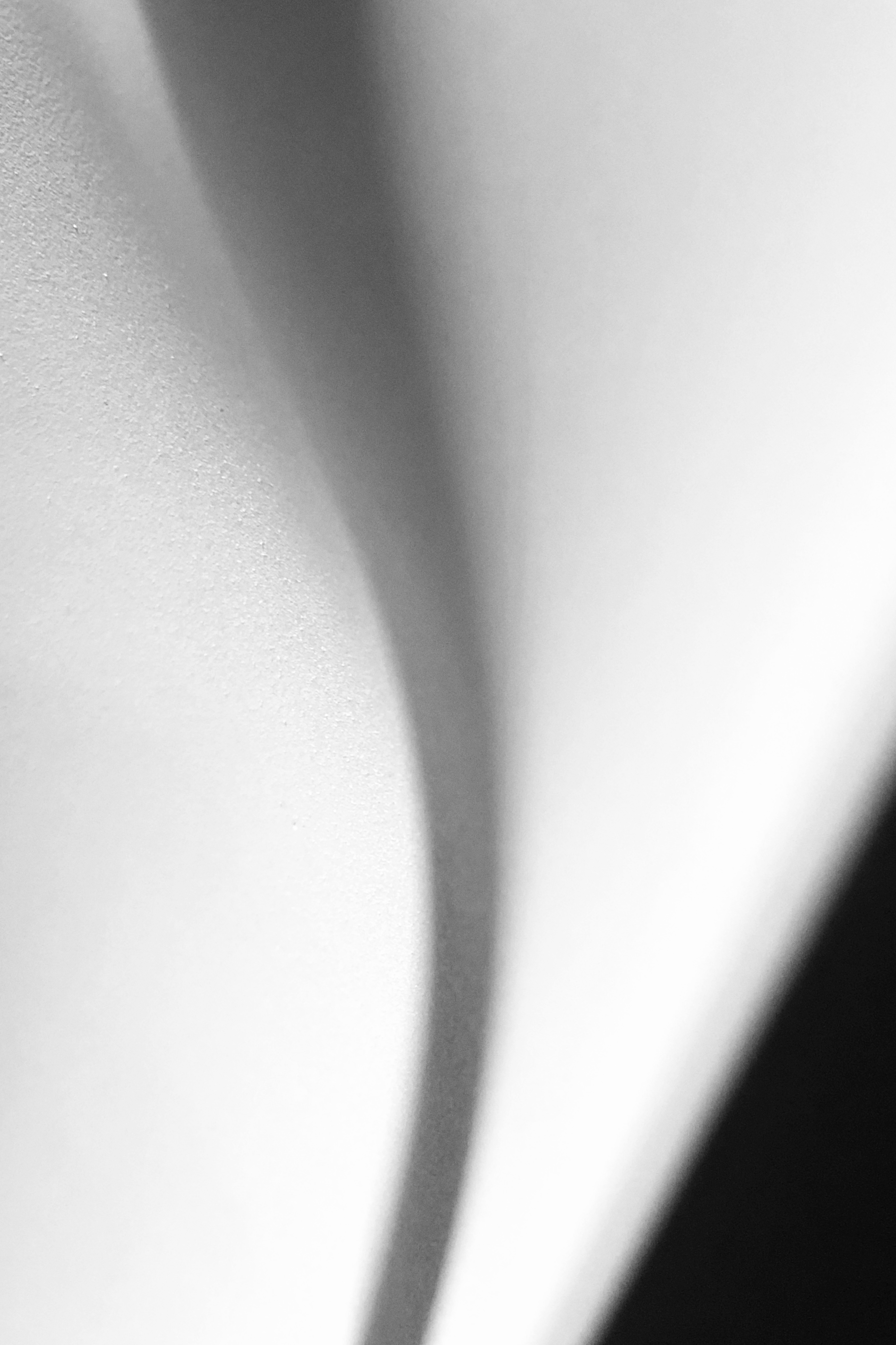 Home Furnishing，household electrical appliances，Water dispenser，