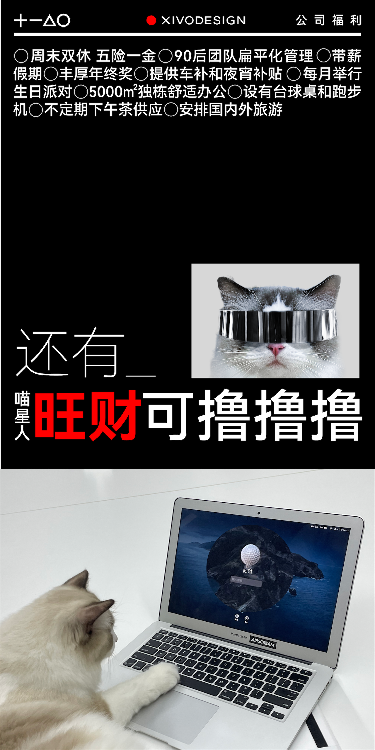 recruit，Young team.，product design，Brand design，packing design，Visual design，business affairs，Good simple geometry，