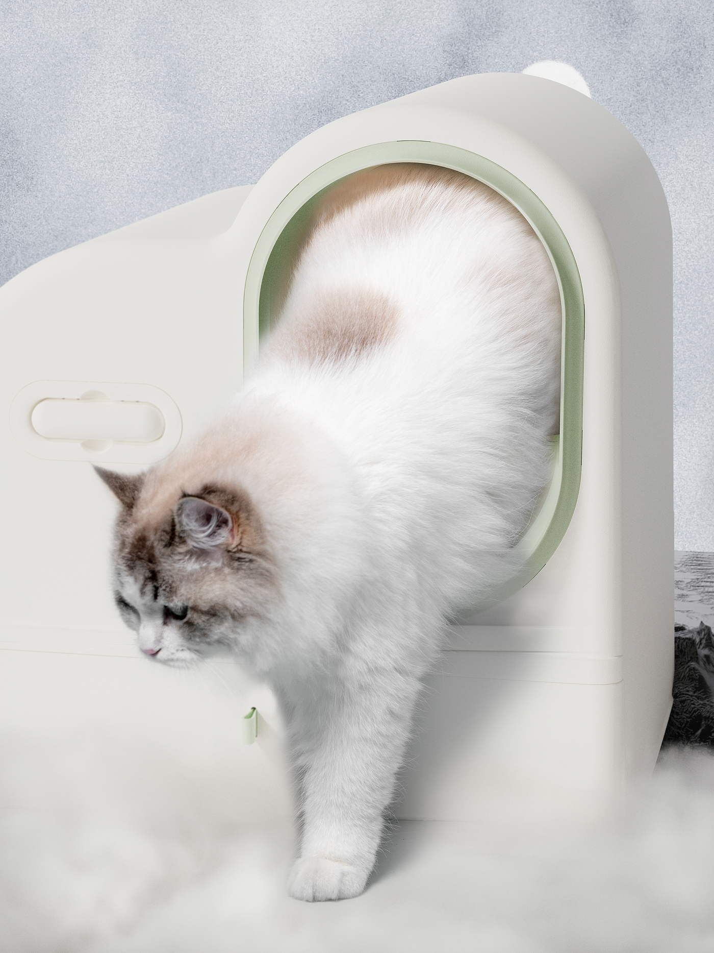 Pet Supplies & Pet，Litter Basin，Pet design，product design，industrial design，cat，Minimalist design ，owlsdesign，