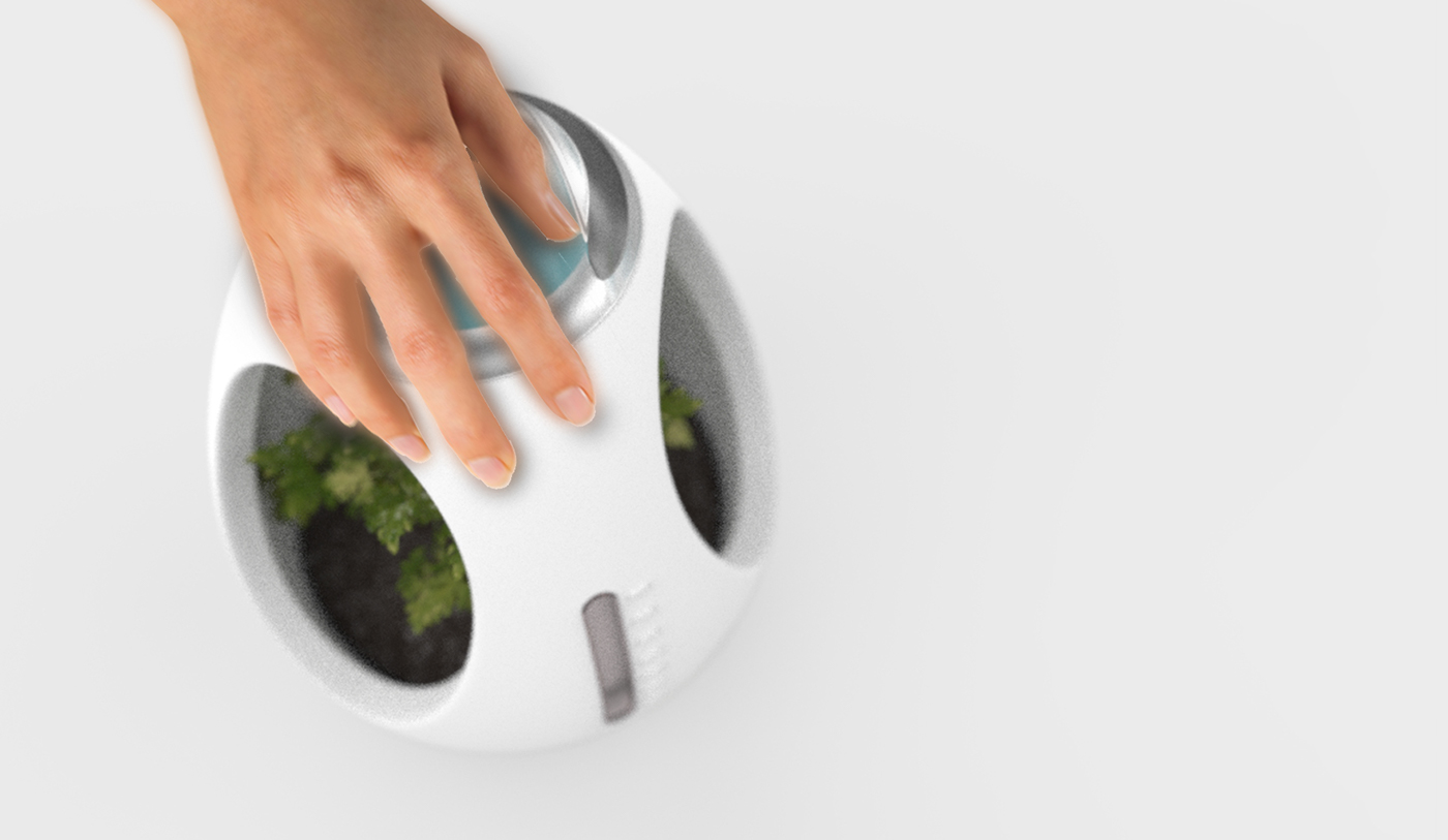 originality，lighting，plant，egg，environment protection，