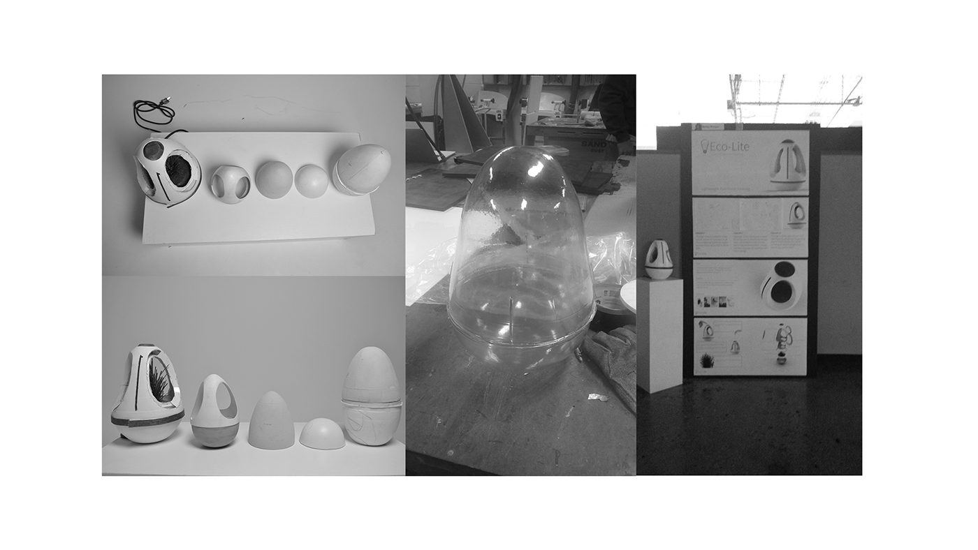 originality，lighting，plant，egg，environment protection，