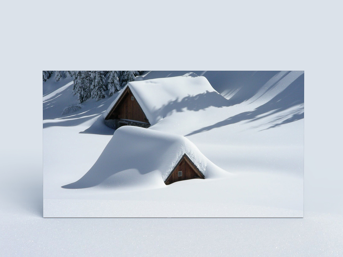 Red dot award，if，Creative design，Award declaration，