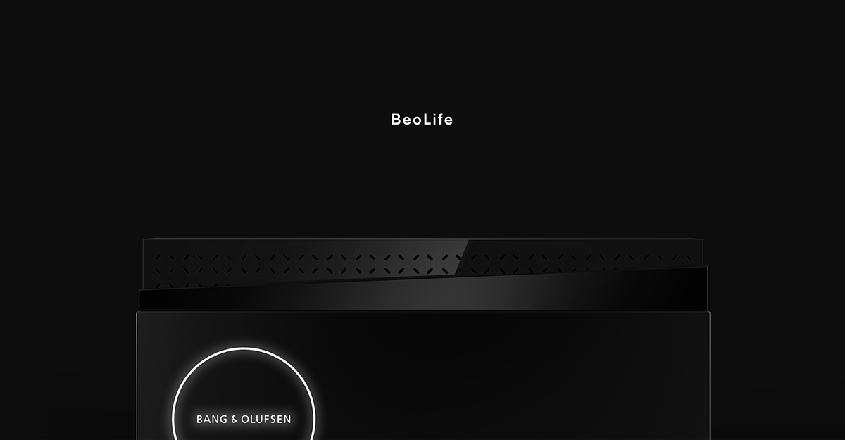 speaker，memory，Beolife，Plastic molding，aluminium，Frosting acrylic acid，