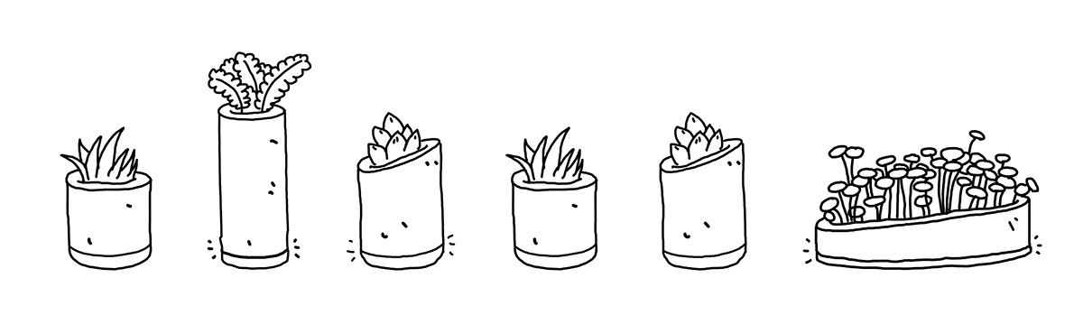 LIVIA，Creative flowerpot，product design，industrial design，