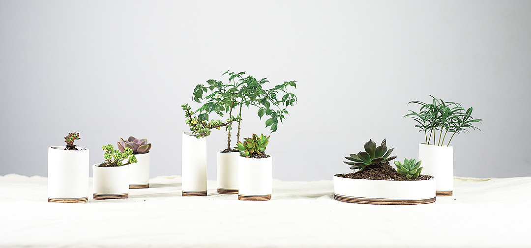 LIVIA，Creative flowerpot，product design，industrial design，