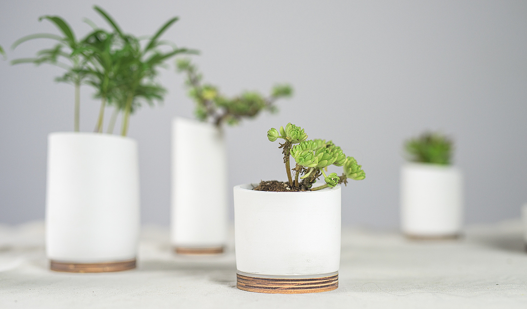 LIVIA，Creative flowerpot，product design，industrial design，