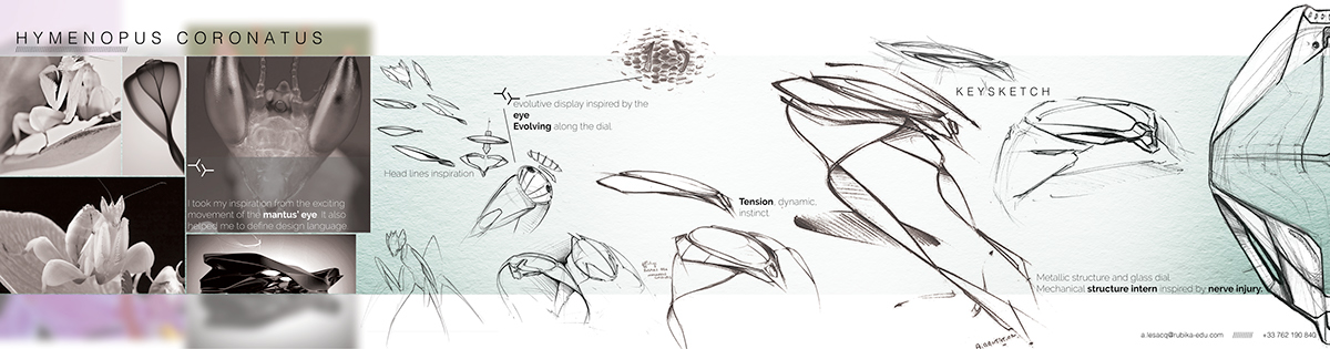 automobile，Typesetting，industrial design，
