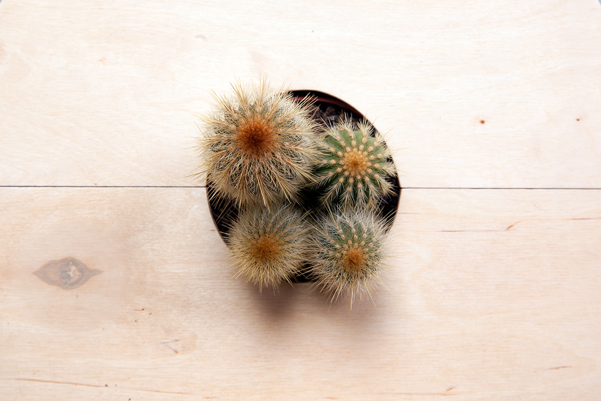 Home design，furniture，originality，product design，