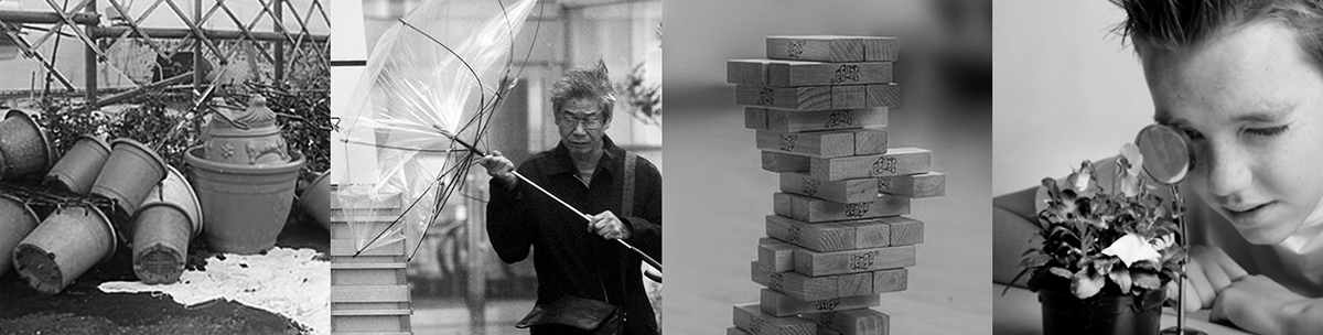 Potted plants，3x3，Portable，Home Furnishing decoration，gardening，