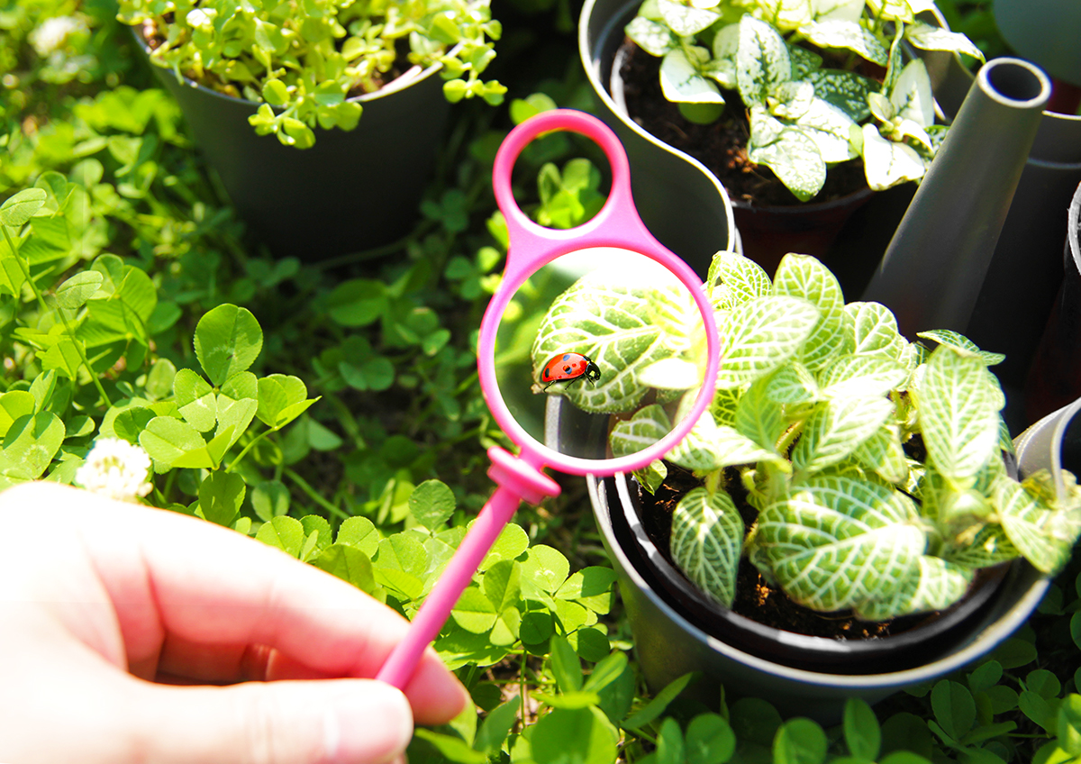 Potted plants，3x3，Portable，Home Furnishing decoration，gardening，