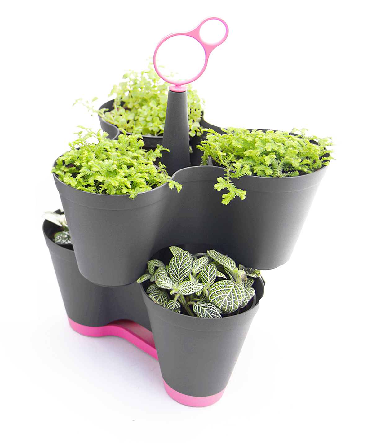 Potted plants，3x3，Portable，Home Furnishing decoration，gardening，