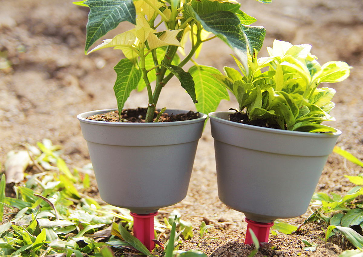 Potted plants，3x3，Portable，Home Furnishing decoration，gardening，