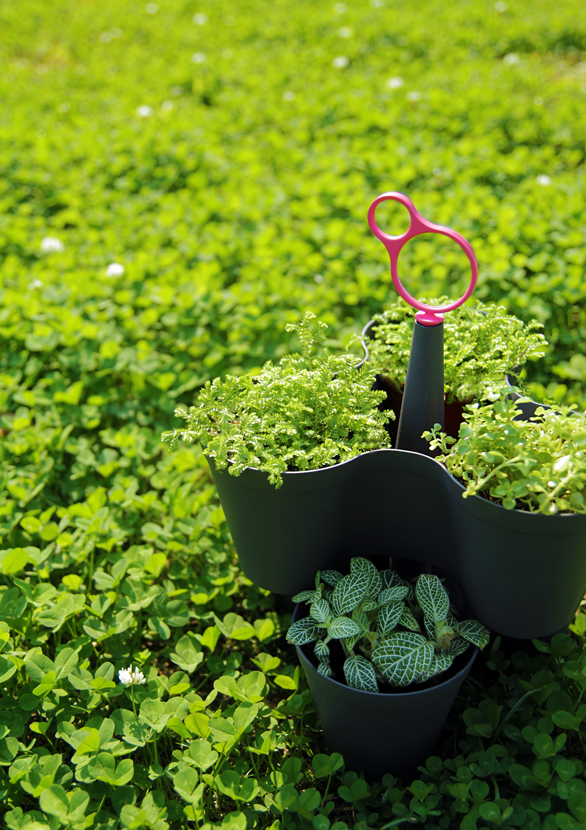 Potted plants，3x3，Portable，Home Furnishing decoration，gardening，