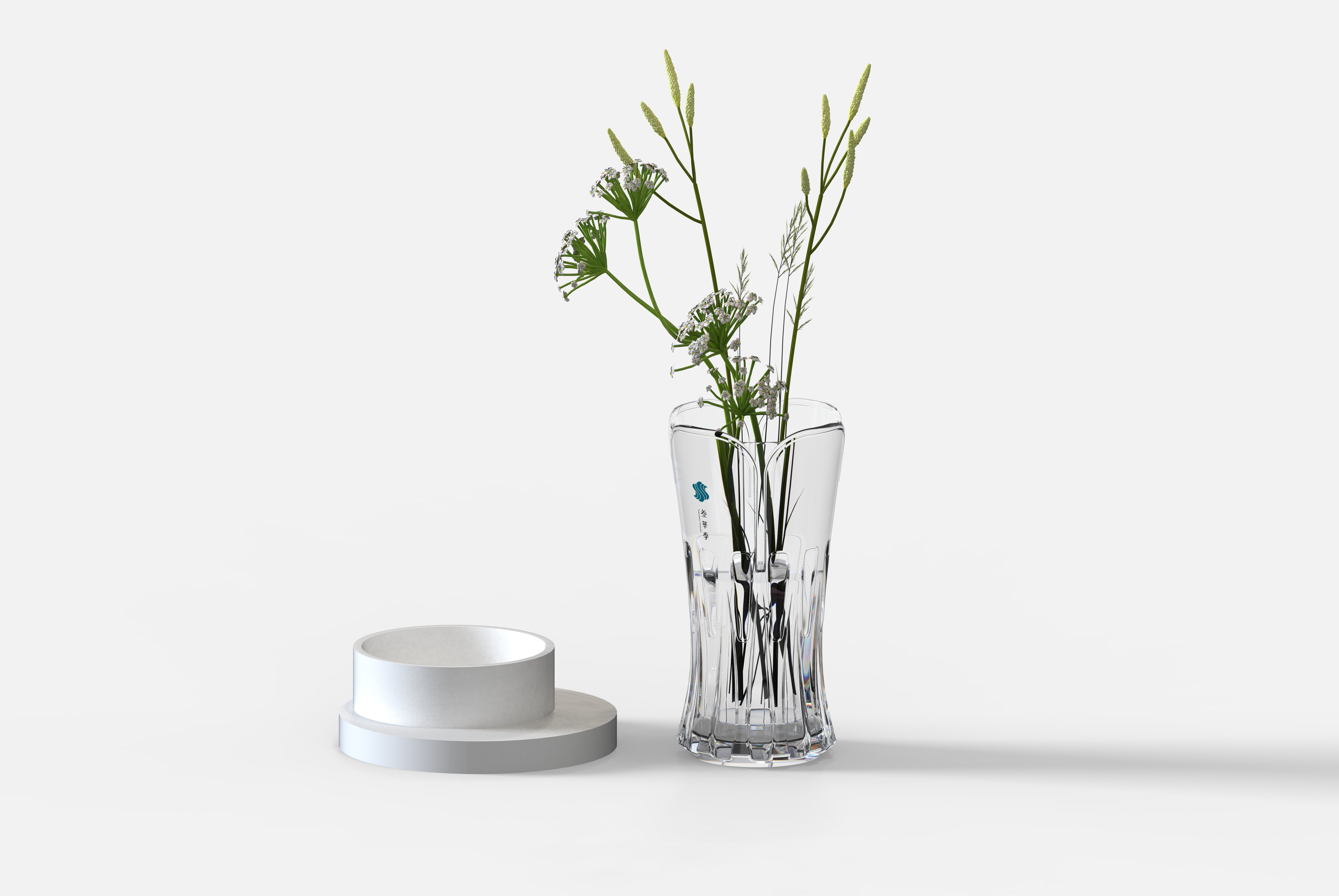 vase，Glass，Camellia，Hydroponic culture，