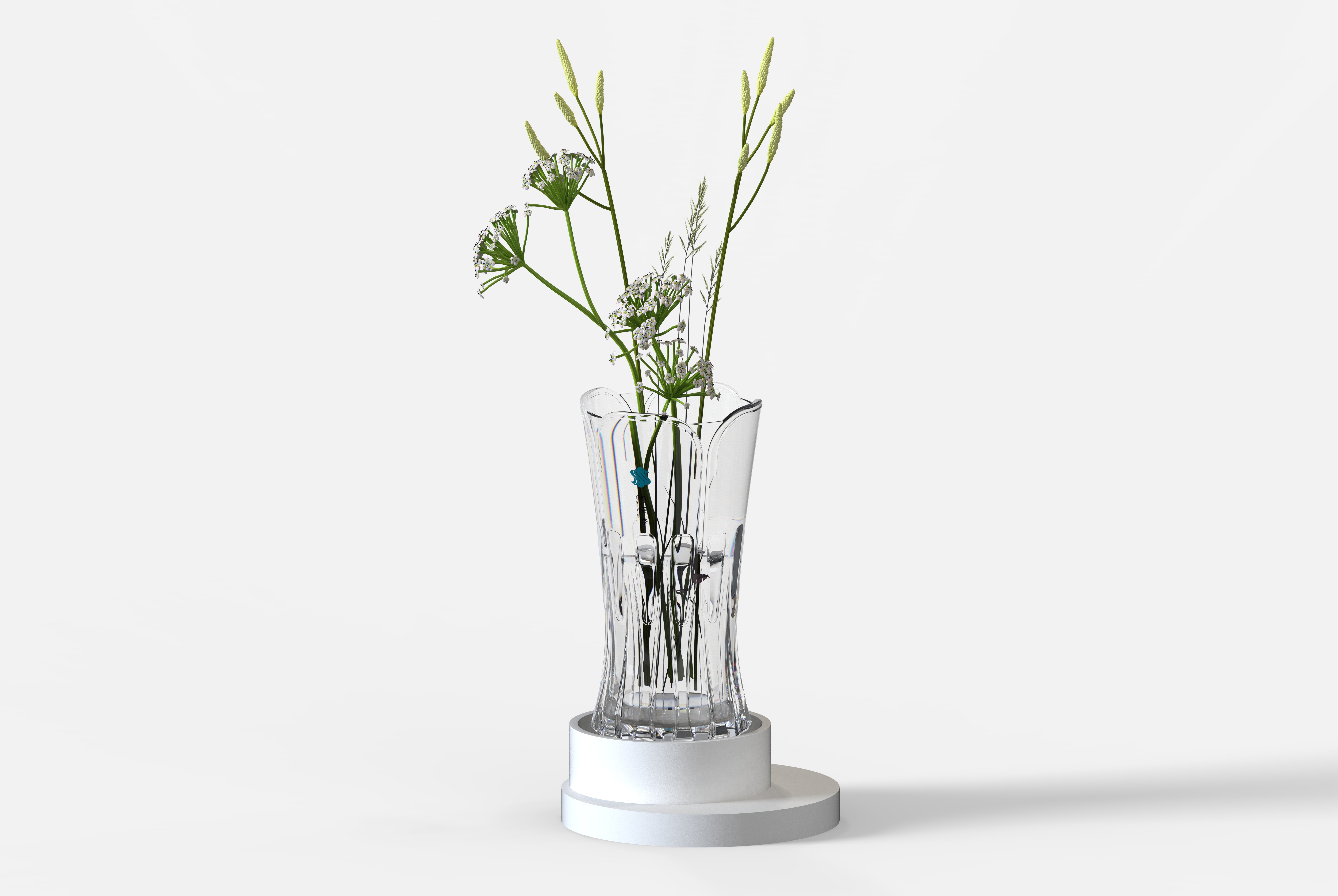 vase，Glass，Camellia，Hydroponic culture，