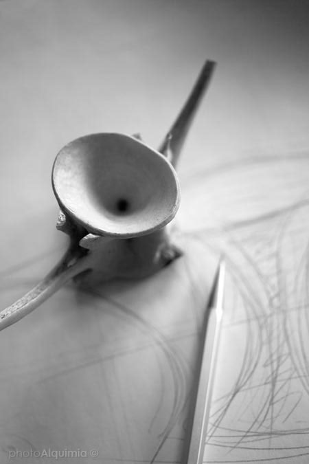 kitchen，tableware，Japan，dish，fish，ceramics，