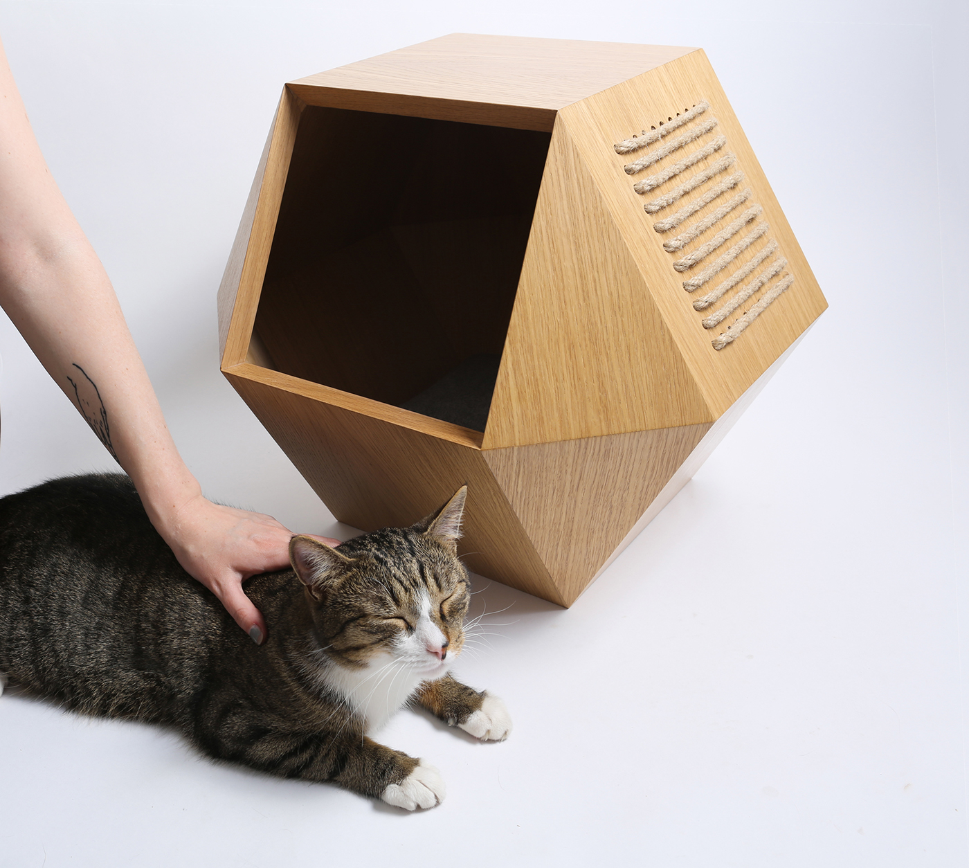 Kotohouse，Cat nest，product design，woodiness，