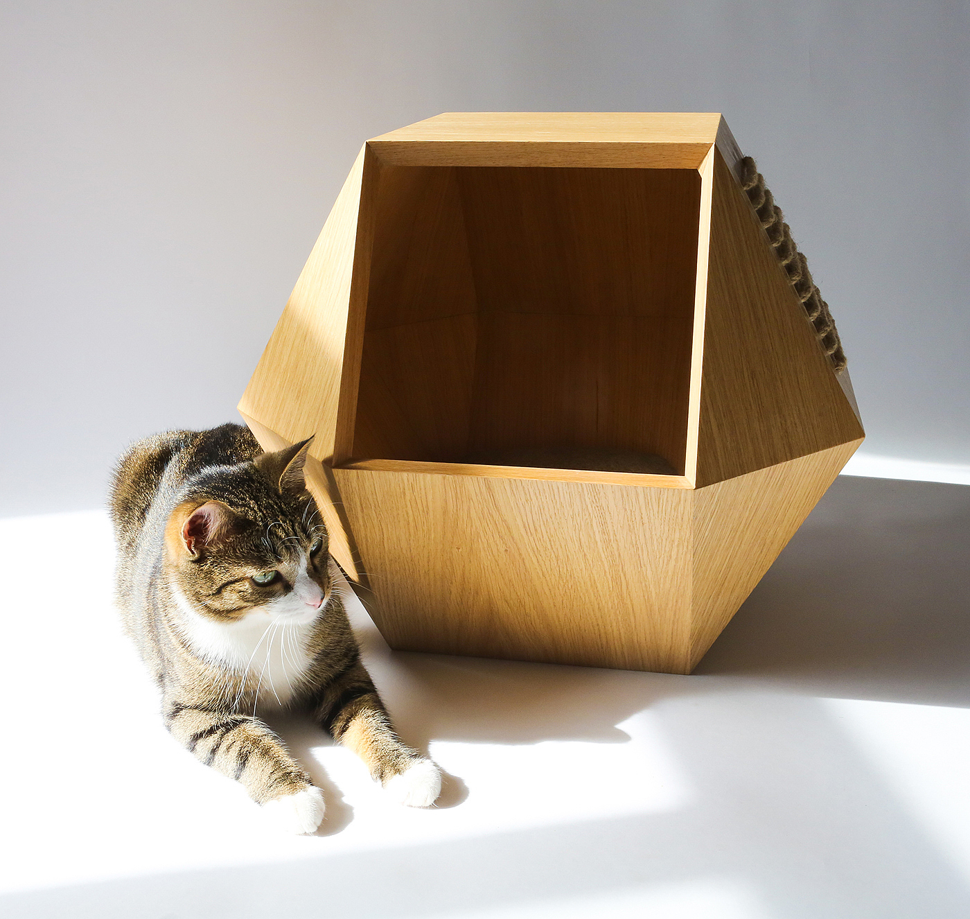 Kotohouse，Cat nest，product design，woodiness，