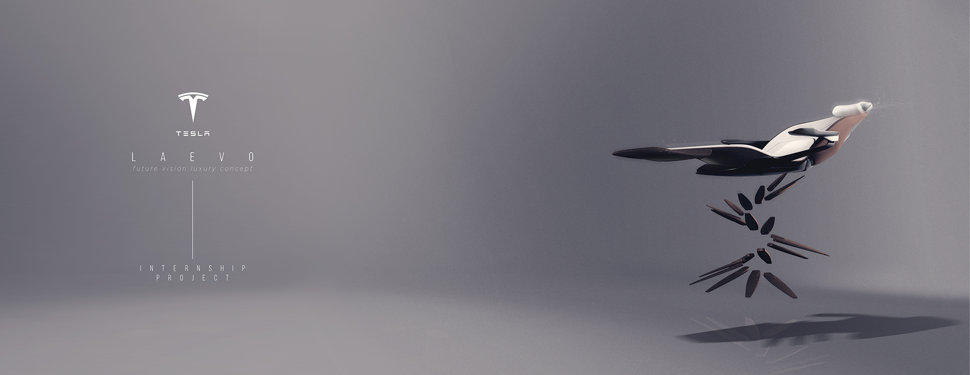 Automatic design，product design，tesla，automobile，