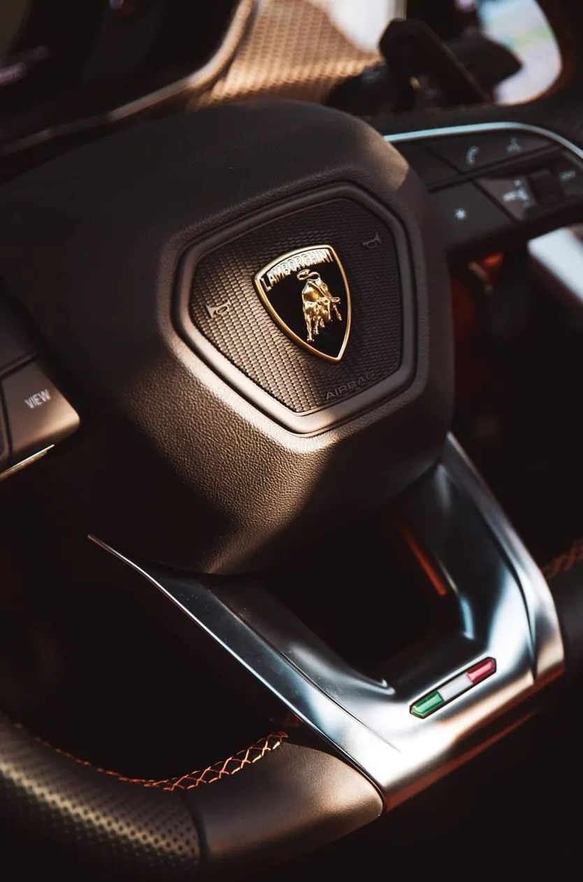 senior，Interior，automobile，texture of material，texture，