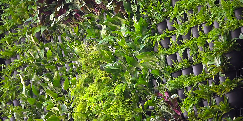 镶嵌，背景墙，绿植，