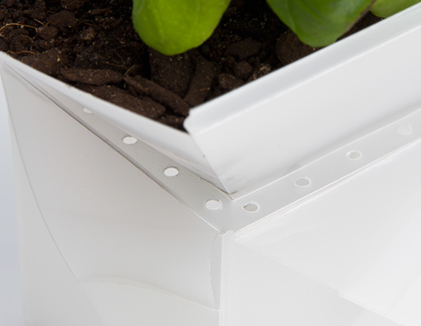 Flowerpot，Botany，healthy，plant，geometry，