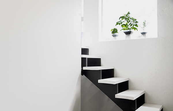 Flowerpot，Botany，healthy，plant，geometry，