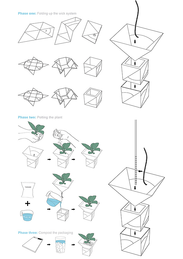 Flowerpot，Botany，healthy，plant，geometry，