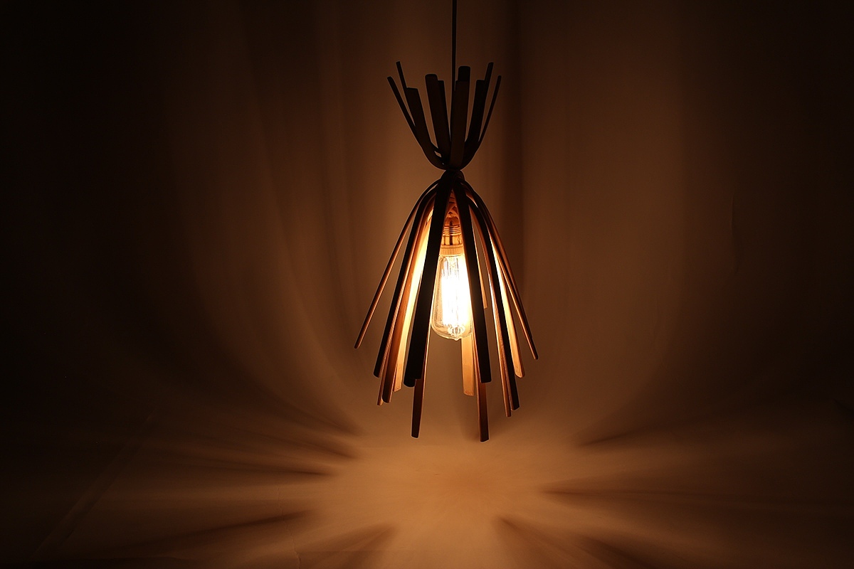 Bambusoidae，environment，Ceiling lamp，