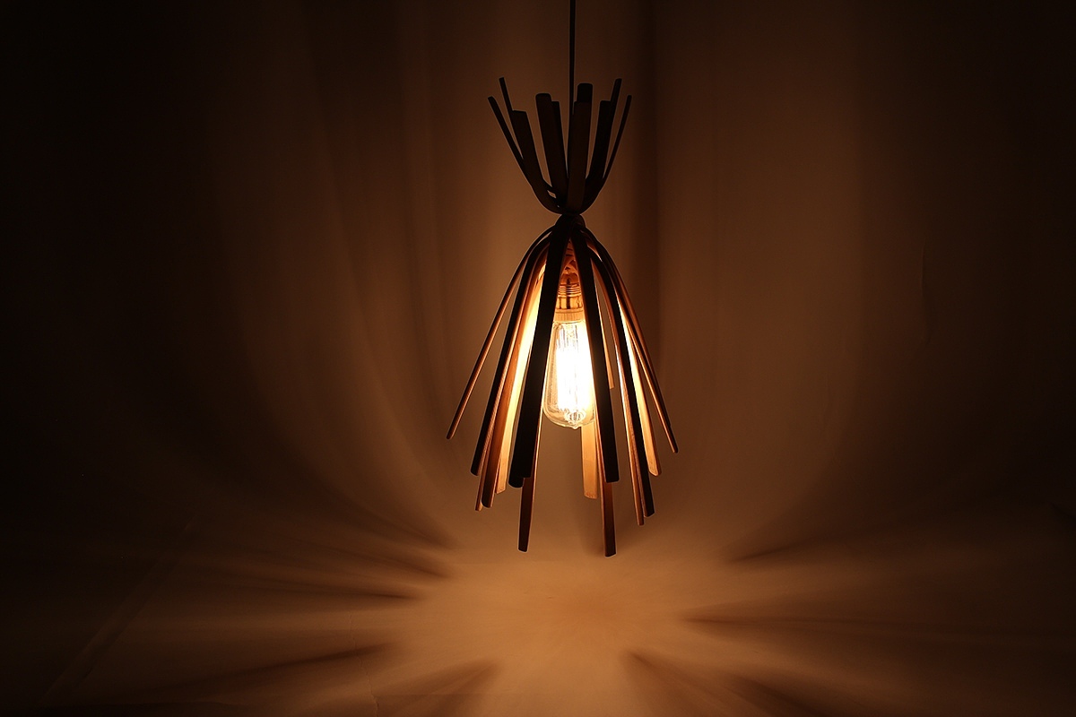 Bambusoidae，environment，Ceiling lamp，