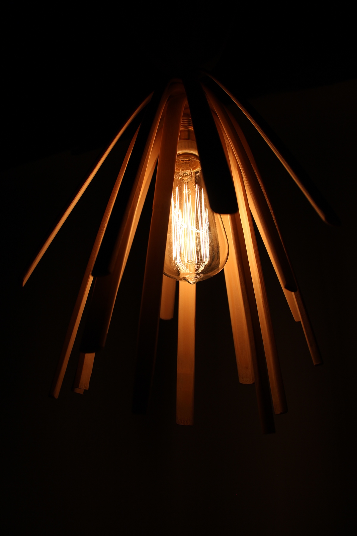 Bambusoidae，environment，Ceiling lamp，