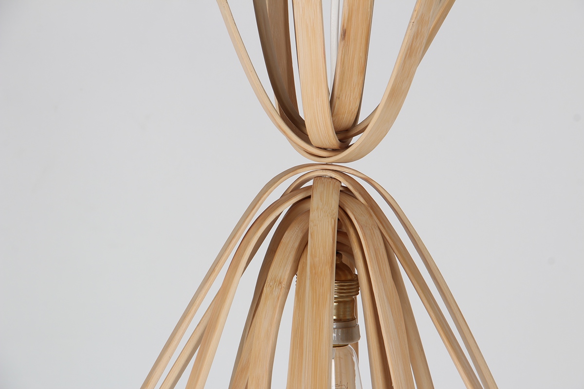 Bambusoidae，environment，Ceiling lamp，