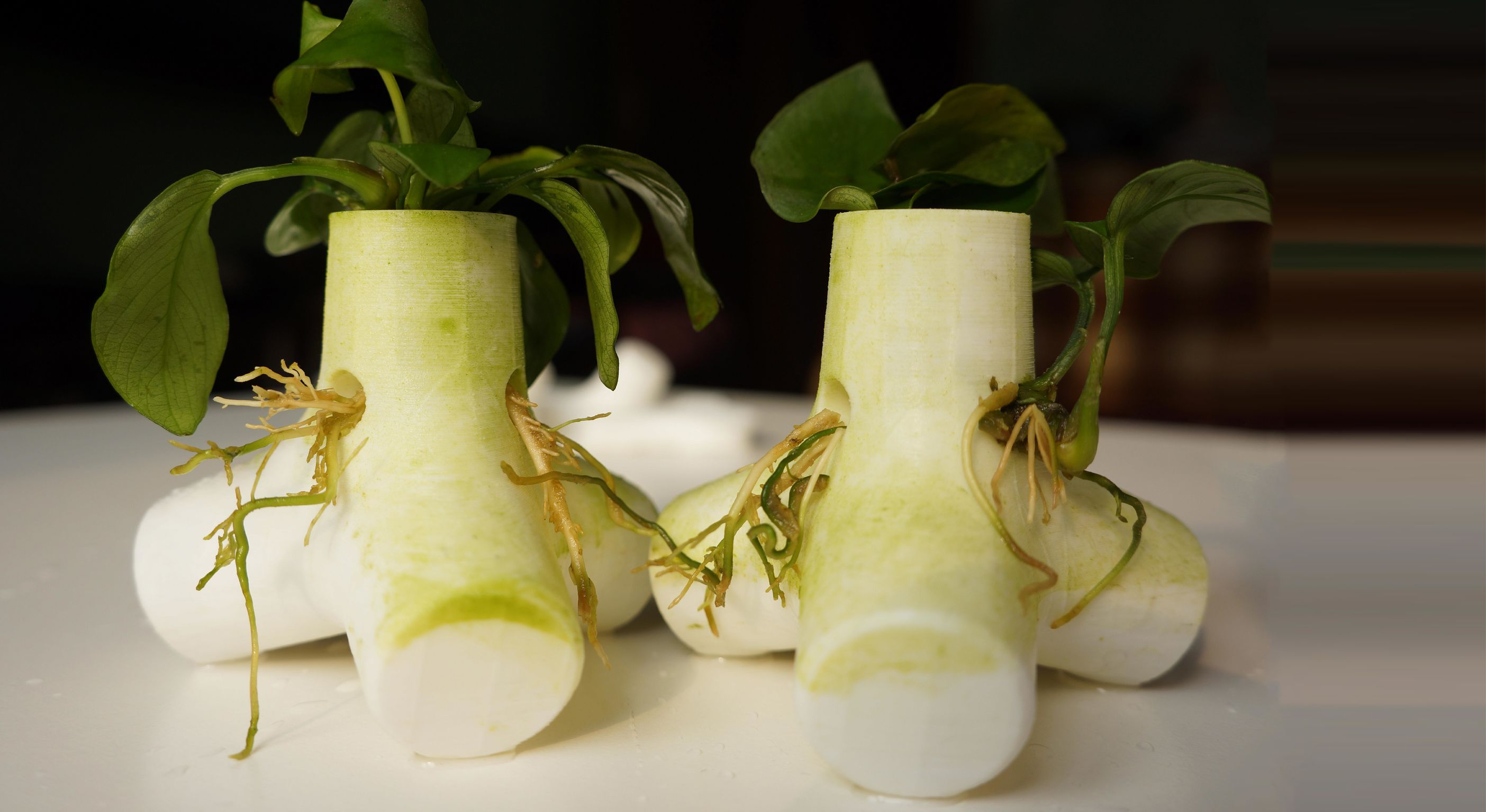 Maritime defense system，TetraPOT，2017if Gold Award，