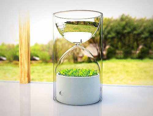 Micro landscape，Glass，hourglass，Botany，bonsai，