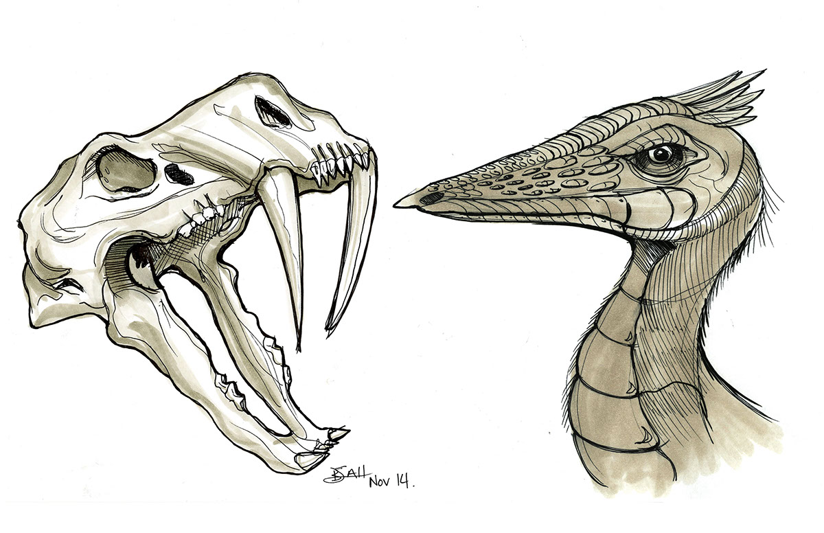 sketch，Hand drawn，Collection post，