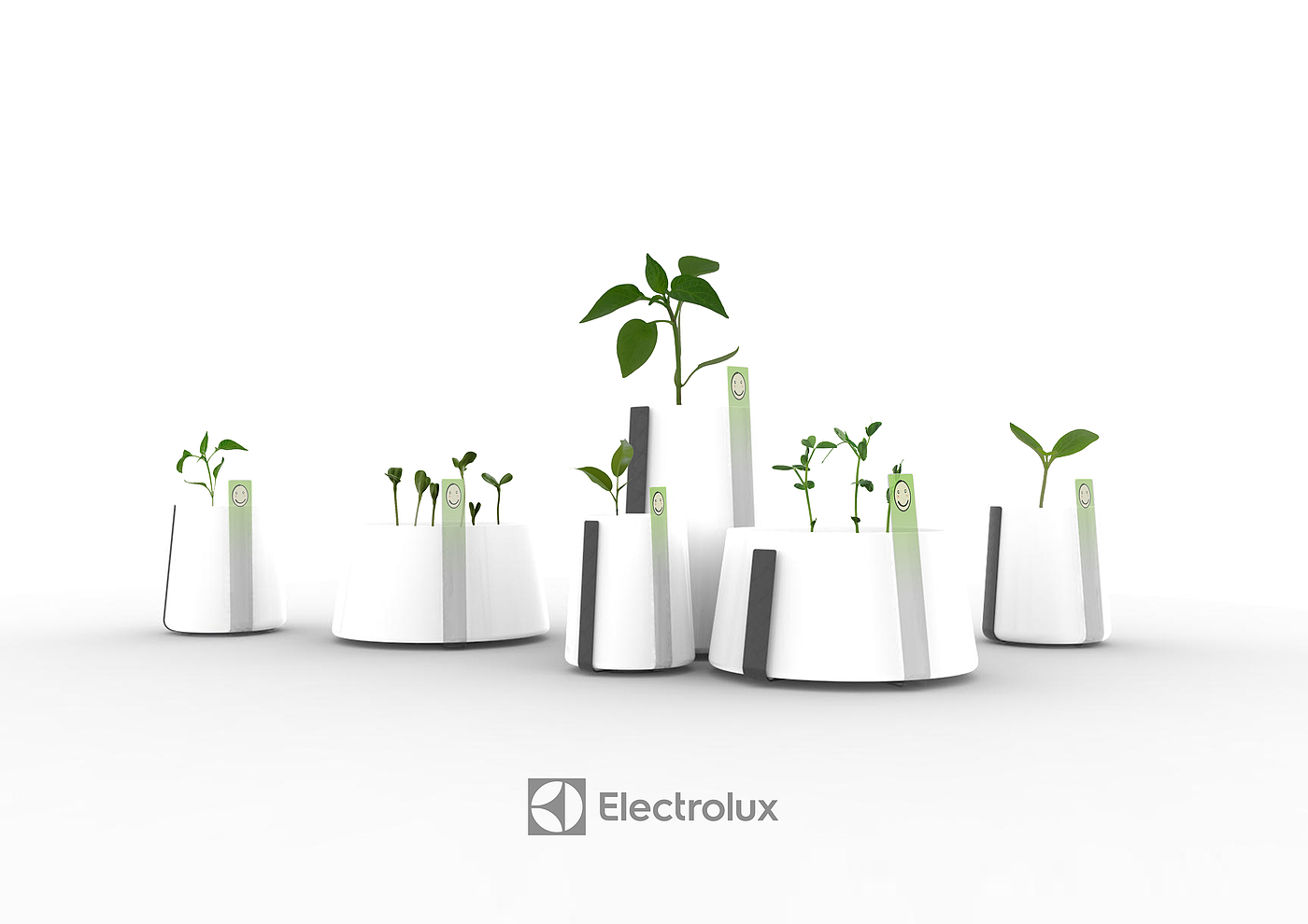 Flowerpot，intelligence，Green plant，Puzzle，