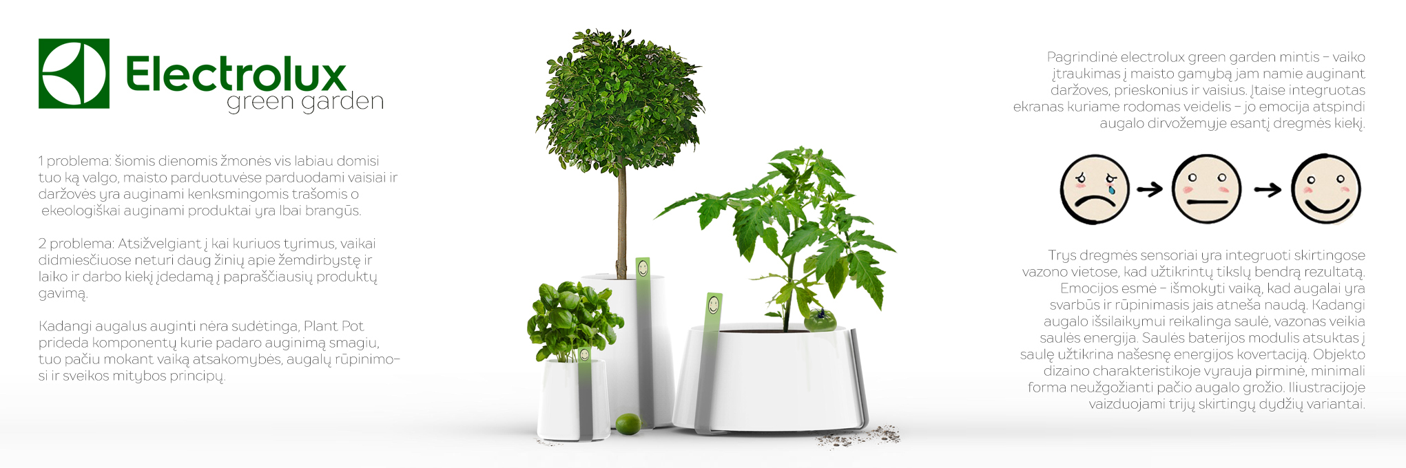 Flowerpot，intelligence，Green plant，Puzzle，