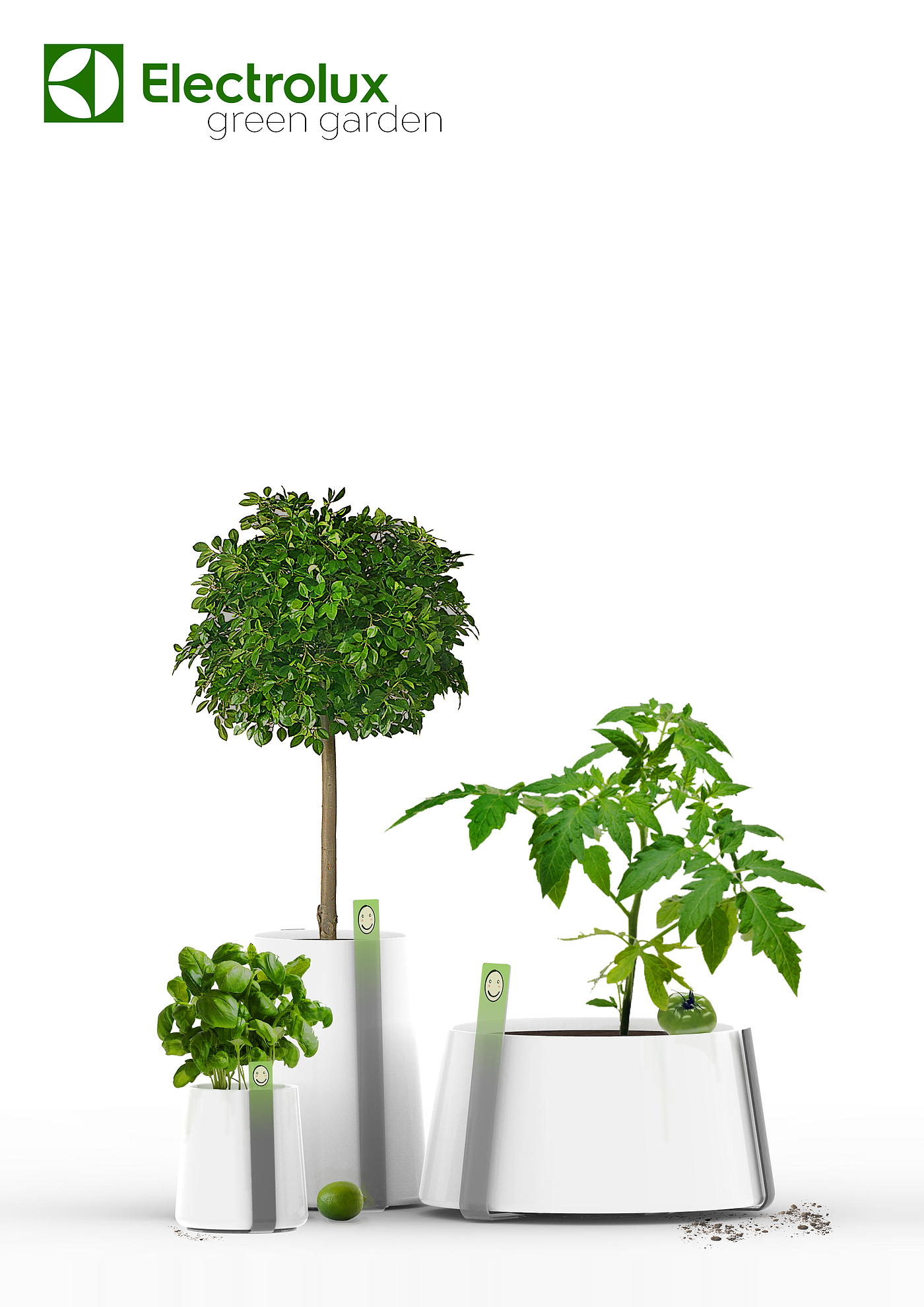 Flowerpot，intelligence，Green plant，Puzzle，