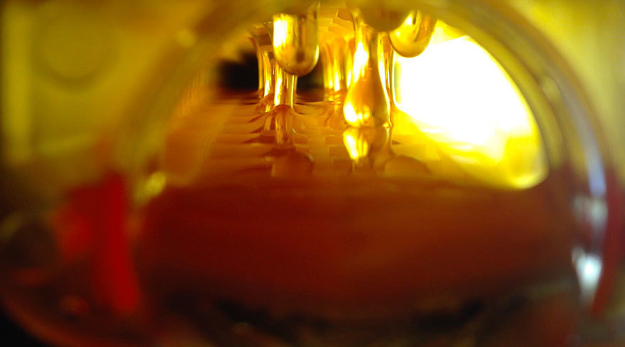 hive，honeybee，nectar，honey，sugar，