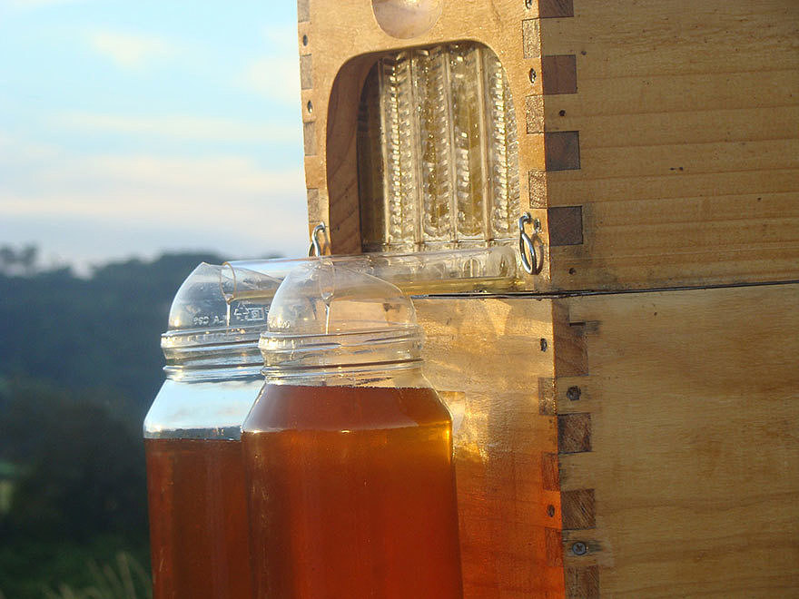 蜂箱，蜜蜂，花蜜，蜜，糖，