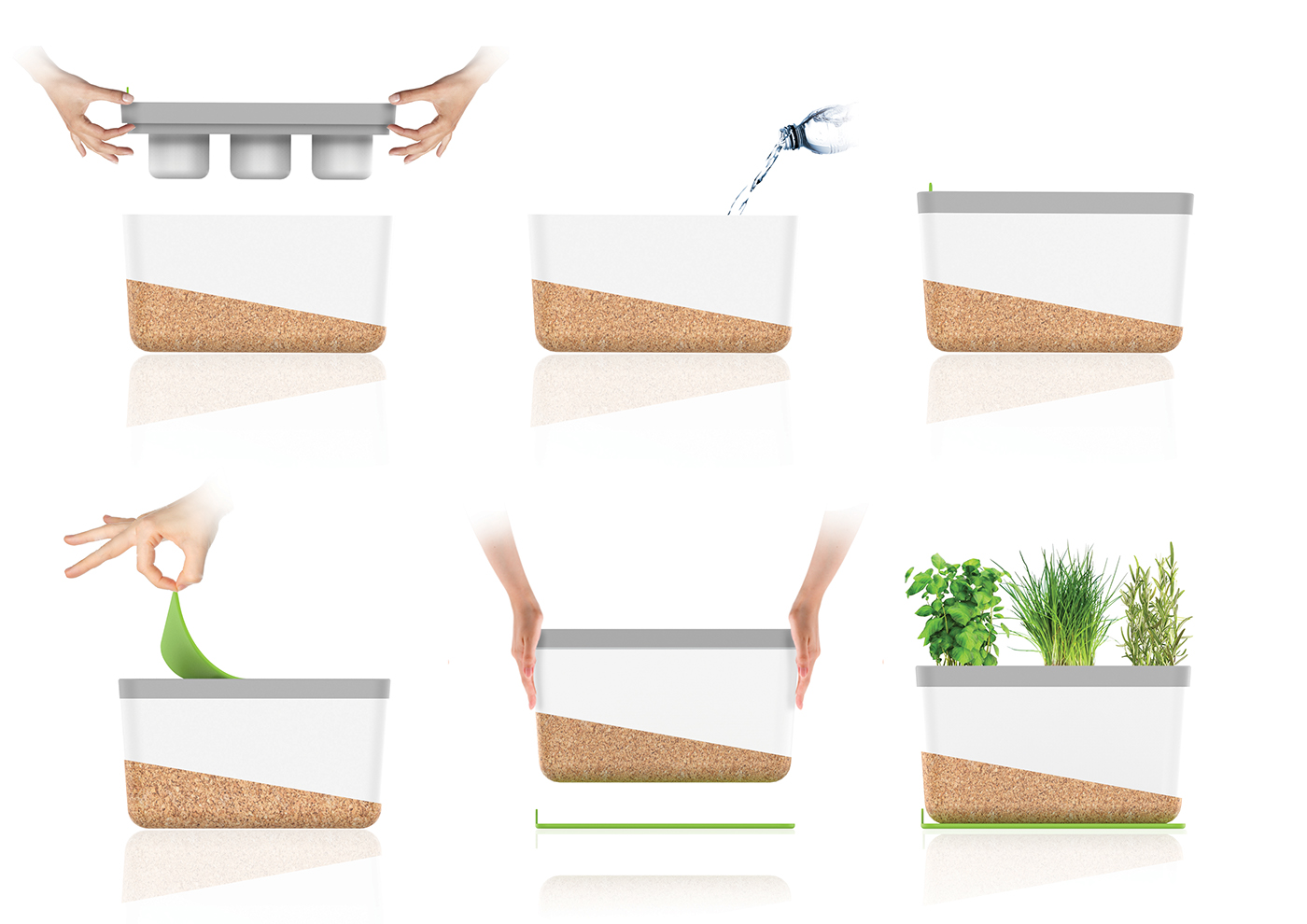 Green plant，gardening，city，