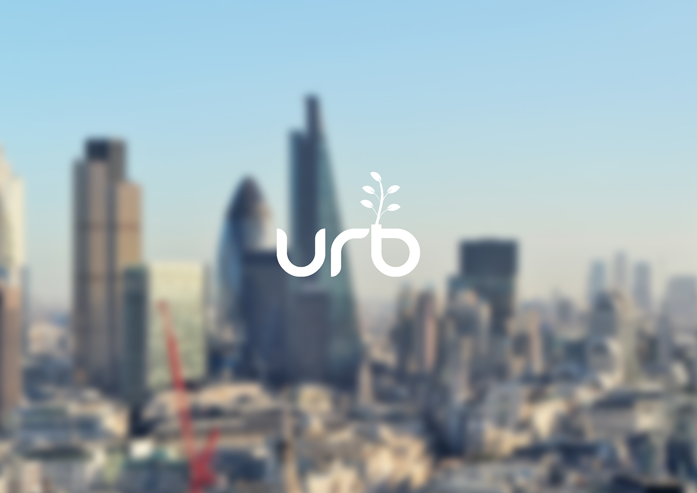 Green plant，gardening，city，