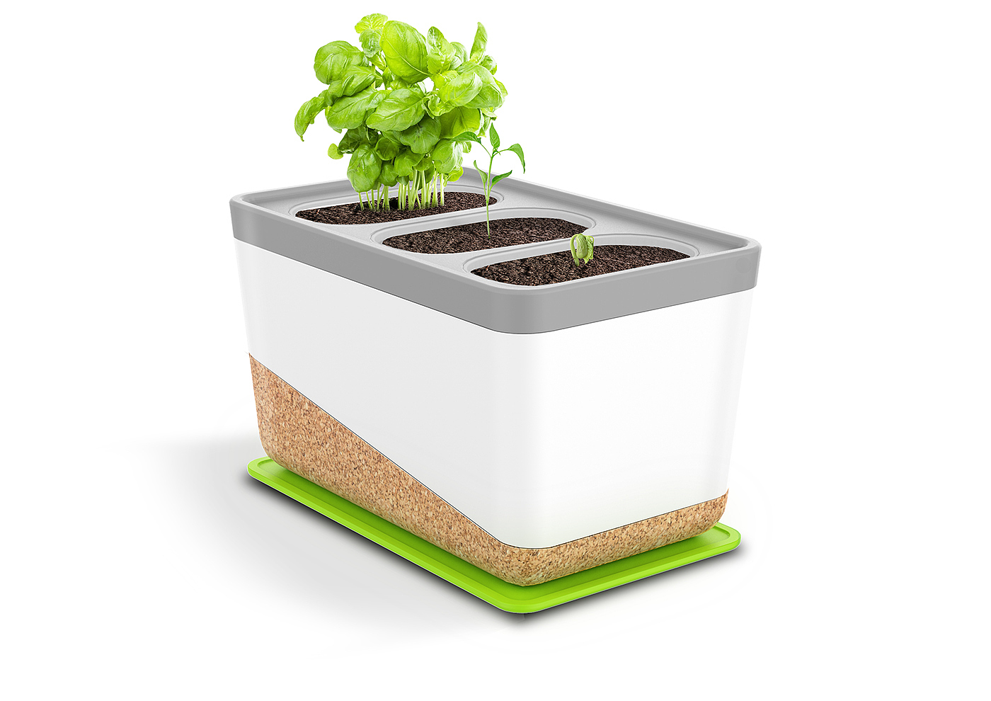 Green plant，gardening，city，