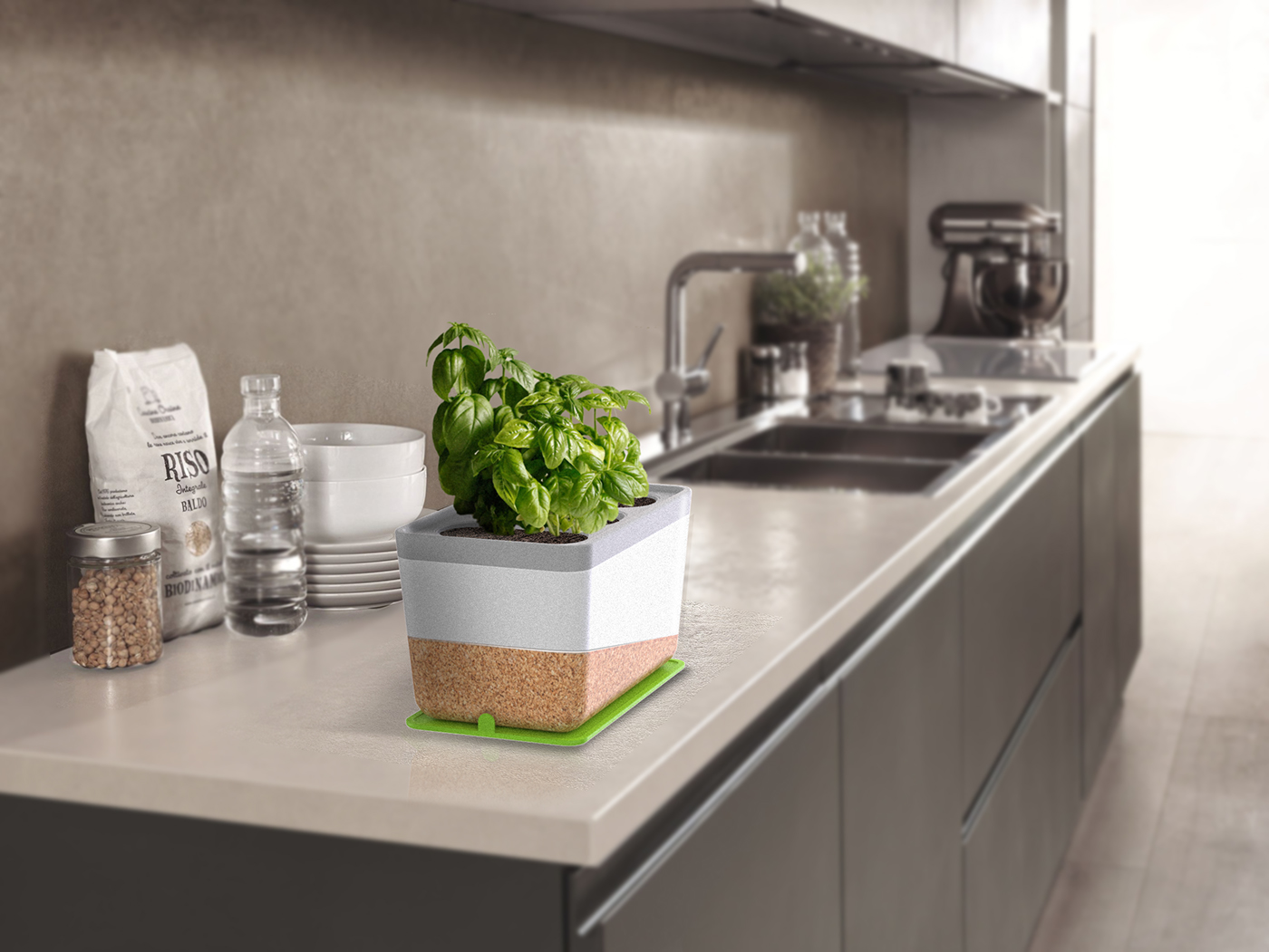 Green plant，gardening，city，