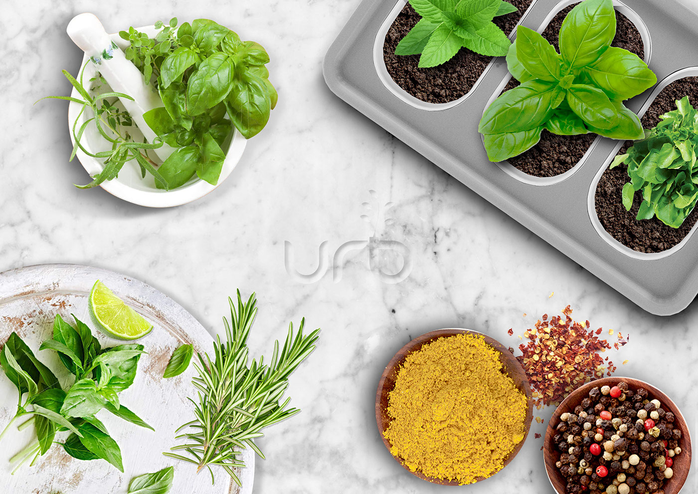 Green plant，gardening，city，