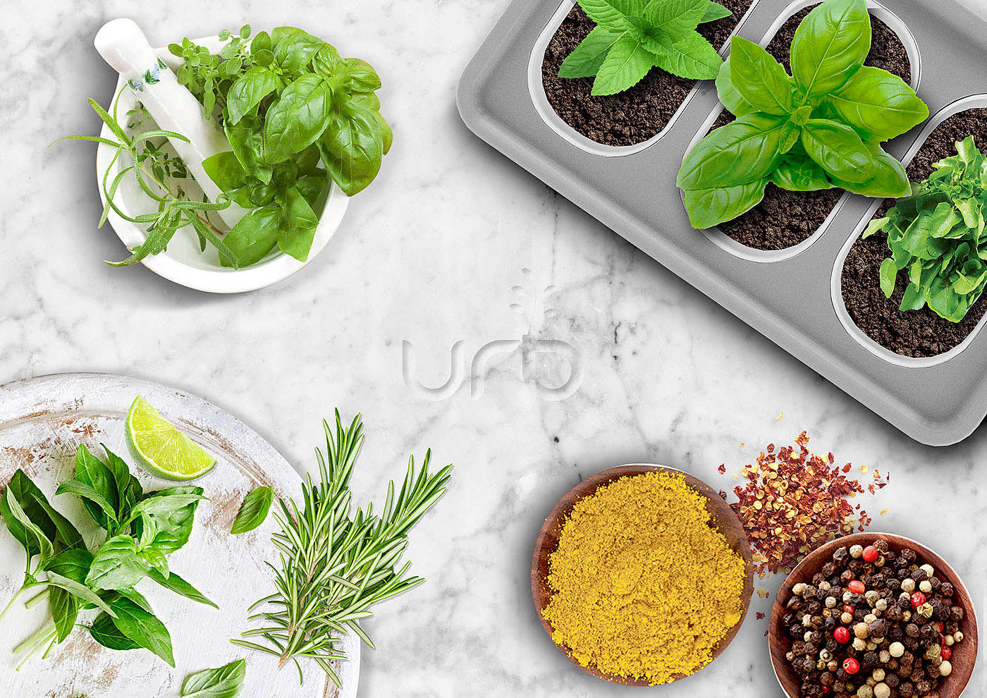Green plant，gardening，city，