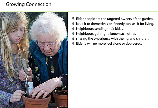 care for，concept，aged，gardener，plant，