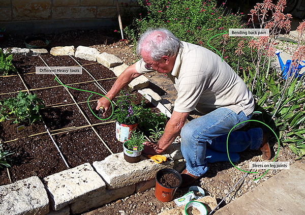 care for，concept，aged，gardener，plant，