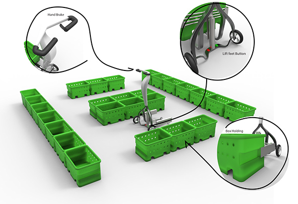 care for，concept，aged，gardener，plant，